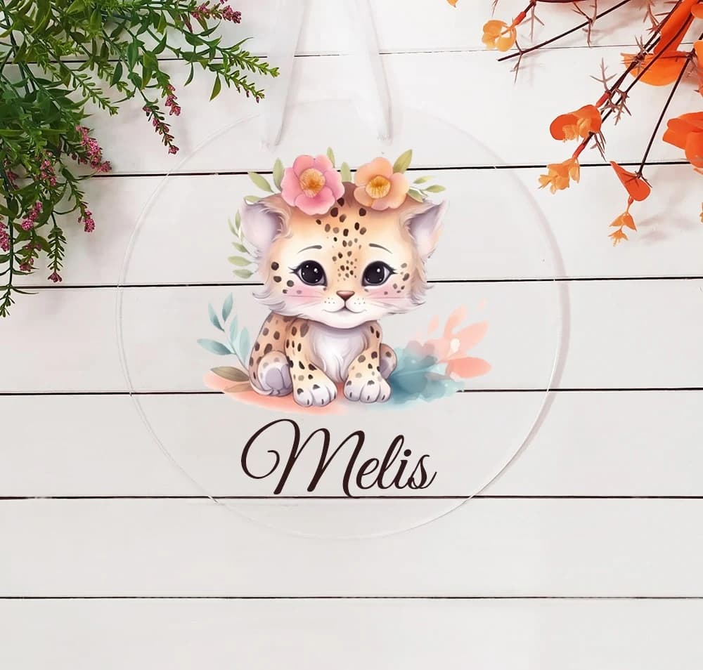 Kedi Tema Pleksi Kapı Süsü
