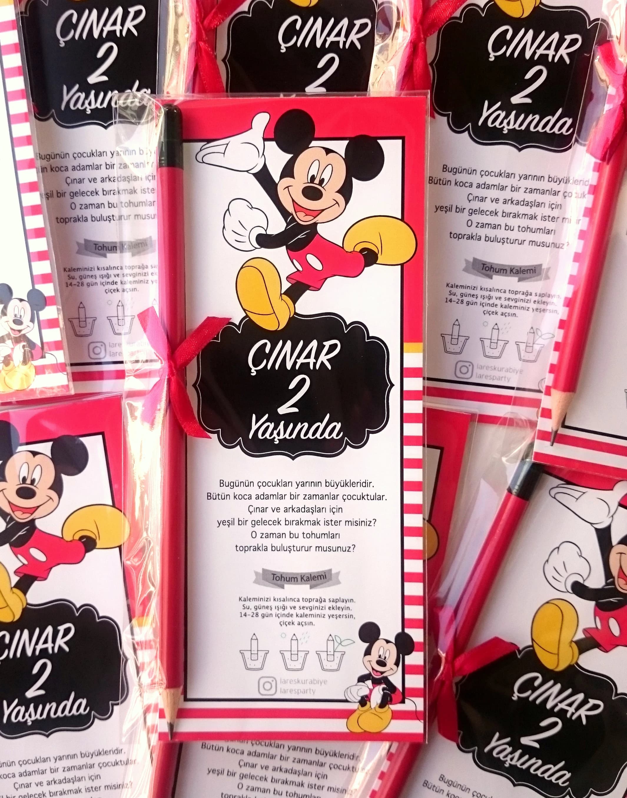 Mickey Temalı Tohum Kalemi